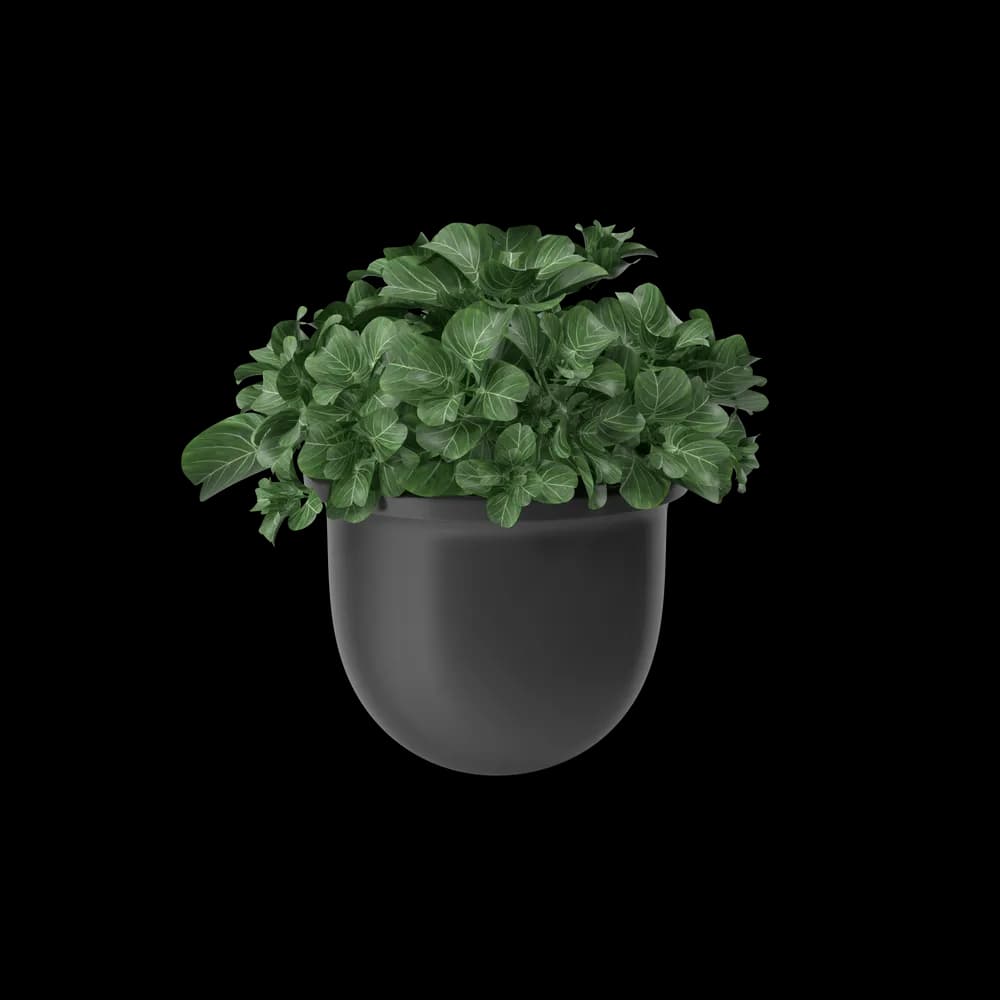 Plant Pot thumbnail 1