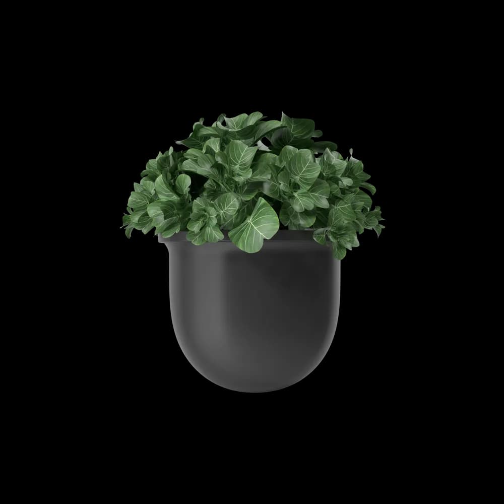 Plant Pot thumbnail 2